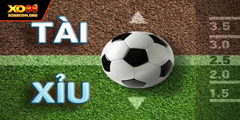 Bí quyết cược tài xỉu đem lại nhiều phần thưởng