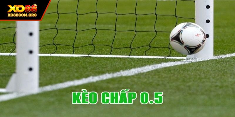 Kèo Chấp 0.5 Là Gì? Cách Đọc Kèo Và Bí Kíp Thắng Lớn
