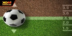 Kèo Tài Xỉu 2 Trái Là Gì? Hướng Dẫn Đọc Kèo Tại XO88