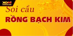 Soi Cầu Rồng Bạch Kim – Bí Quyết Chính Xác Từ Cao Thủ