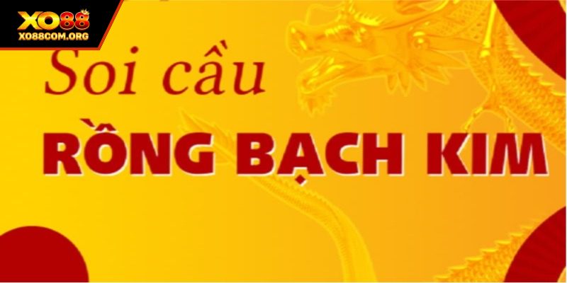 Soi Cầu Rồng Bạch Kim – Bí Quyết Chính Xác Từ Cao Thủ
